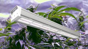 Lights of america grow light. Full Spectrum Led Grow Light Of Atop Lighting Agc Lighting