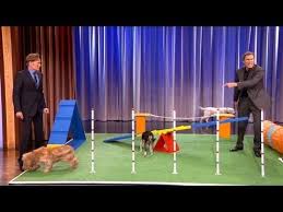 Watch Conan O Brien Can T Stop Online Free Will Ferrell S Amazing Canine Obstacle Course Demo Conan On Tbs Dow Hiding Behind The Corner Standi Will Ferrell Full Movies Online Free Kennedy Assasination