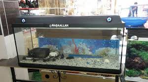 2 El Akvaryum 100 30 45 Boyutunda Konya Beril Akvaryum Petshop Facebook