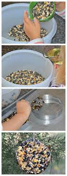 The Best Recipe For Bird Seed Ornaments Homemade Bird Houses Bird Seed Ornaments Homemade Bird Feeders
