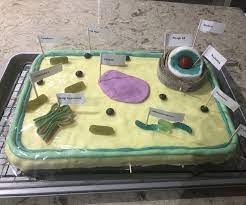 We did not find results for: How To Make 100 Edible Cake Based Candy Plant Cell 6 Steps Instructables