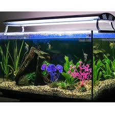 Mudder Aquarium Plastic Plant Fish Tank Plants Aquarium Decor Plants 10 Pieces Ad Plant Fish Plastic Planted Aquarium Fish Tank Plants Plastic Plants