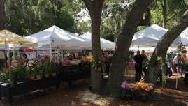 Windermere Farmers Market at Town Square Park