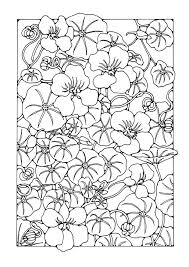 You might also be interested in coloring pages from gardens category. Coloring Page Garden Nasturtium Flower Free Printable Coloring Pages Img 27759