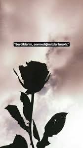 Siir Gunlerim Panosundaki Pin