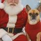 Dog Photos with Santa event in North Platte, NE