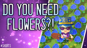 We did not find results for: Flowers For Dreams Coupon Code 07 2021