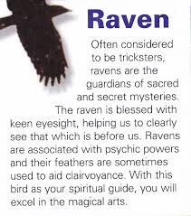 Raven Spiritual Guide Animal Spirit Guides Spirit Guides Raven