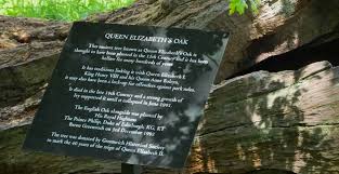 The house of tudor survives through the female line, first with the house of stuart, which occupied the english throne for most of the following century, and then the house of hanover, via james' granddaughter sophia. Queen Elizabeth S Oak Greenwich Park