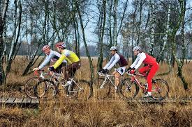 Radfahren So Bleiben Sie Im Herbst Fest Im Sattel Fit For Fun