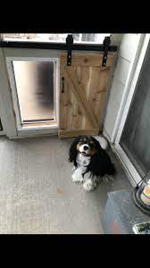 I Designed And My Husband Built A Sliding Barn Door For A Doggie Door Dog Door Dog Rooms Dog Spaces