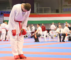 A 25 éves hárspataki gábor sporttörténelmi sikert ért el, a sportág első magyar olimpiai érmét, egyben a tokiói magyar küldöttség 17. Karate Az Olimpia A Tet Parizsban