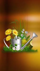 Apple In The Garden Apple Iphone 5s Hd Wallpapers Available For Free Download Apple Logo Wallpaper Iphone Pretty Wallpaper Iphone Apple Wallpaper