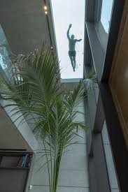 A contemporary house design with a large roof top pool that is cascading down and creating four water drops, islands and waterfalls looks stunning, unusual and spectacular. Contemporary House With A Transparent Rooftop Swimming Pool