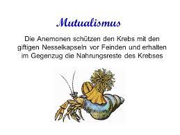 Check spelling or type a new query. Symbiose Mutualismus Fakultatives Zusammenleben Zum Beiderseitigen Vorteil Wirt Gast Beziehung Kooperation Etwa Heterospezifische Tierherden Eusymbiose Ppt Video Online Herunterladen