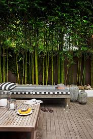 With a variety of woods to choose from, ranging from light to dark, and just as many style choices, wood. Tropical Garden Design Everything You Need To Know In 2020 Backyard Landscaping Bamboo Garden Garden Design