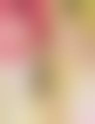 AKB48 大家志津香 佐藤すみれ NMB48 小笠原茉由 セクシー ビキニ水着 カメラ目線 太もも 高画質 エロ かわいい画像アイドルおかず画像掲示板Eカップスマホ版