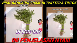 Berikut adalah ulasan yang bisa admin . Heboh Kangkung Di Twitter Dan Tiktok Ini Penjelasanya Youtube