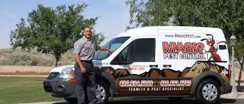 Hire the best landscaping companies in queen creek, az on homeadvisor. Why Tiny Groups Of Springtails Often Infest Homes Yards Az