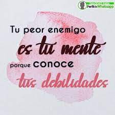 Los memes mas oportunos y divertidos para enviar a cualquier grupo. 1000 Imagenes Para Perfil De Whatsapp Descargar Y Compartir Imagenes Bonitas Para Whatsapp Perfiles Para Whatsapp Bonitos Imagenes Bonitas Para Perfil