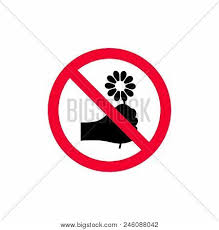 Check spelling or type a new query. No Picking Flowers Vector Photo Free Trial Bigstock