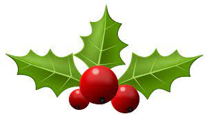 Holly6 Png 2400 1319 Christmas Holly Holly Berries Holly