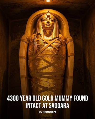 A 4,300-year-old gold-covered mummy has been unearthed in Egypt's ancient  necropolis of Saqqara, offering rare insight into elite burial practices of the  Old Kingdom. The discovery was announced by Egyptian archaeologist Zahi