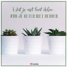 | sestra | quotes | spreuken | christelijk | christian | geloof | faith | masterpiece Pin Op Sestra Quotes