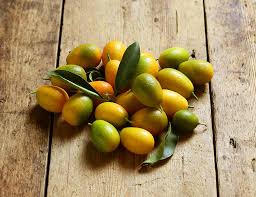 Don't tell my fiance, but i've adapted his favorite the tart will keep in an airtight container, stored into the fridge up to five days. Kumquats Organic 200g