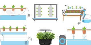 Ebb and flow, also known as flood and drain, is one of the coolest and easiest diy hydroponic systems to set up. Best Hydroponic Systems Of 2020 Herb Examiner