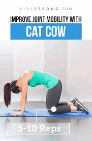 Try These 9 Moves Every Day To Improve Your Joint Mobility Livestrong Com Therapeutic Yoga Fitness Advice At Home Workouts