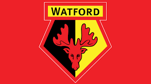 Jobs in watford provides job updates and recruitment services in the watford area. Watford Logo And Symbol Meaning History Png