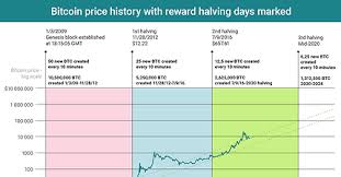 Bitcoin halving chart with dates. Chart Of The Day Bitcoin Reward Halving And Price History Infographics Ihodl Com