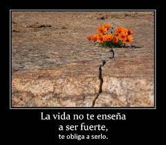 We did not find results for: Viviendo El Dia Muchos Dicen Que La Vida Es Lo Que Mas Fuerte