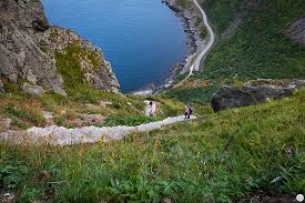 Puzzle reinebringen norwegen landschaftspuzzle für erwachsene 1000 stück geschenk für frau junge spielzeug hobby günstig auf amazon.de: Reinebringen Hiking Trail Most Famous View In Lofoten Northern Norway