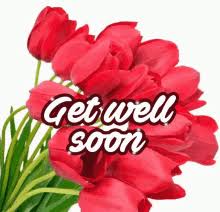 Get well soon flowers gif. Get Well Flowers Gifs Tenor