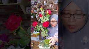 Maybe you would like to learn more about one of these? Tutorial Gubah Bunga Rose Youtube