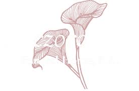 Norman Michael Miller, Jr. Obituary January 29, 2013