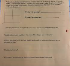 Maybe you would like to learn more about one of these? Perform The Following Monohybrid Cross Use The Chegg Com