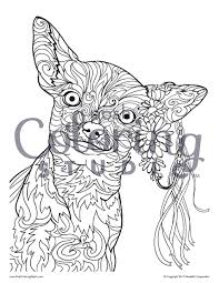 Cats are the most popular pets in the world after the fishes, but before the dogs. Pin On Animal Coloring Pages Posh