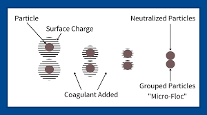 Particles in water carry an electrostatic charge on their surface. Polymer Water Treatment How Coagulants Flocculants Clean Wastewater