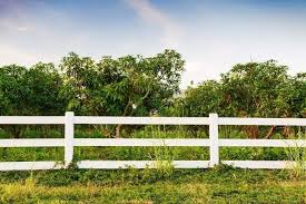 Hisseli tapuda hakkı olan bir kişi, arsasına bina yapmak istediği takdirde. Hisseli Arsa Bolunur Mu Zingat Blog