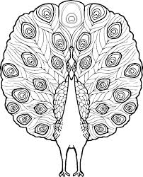 By best coloring pages july 24th 2013. Coloring Pages Of Peacocks Coloring Home