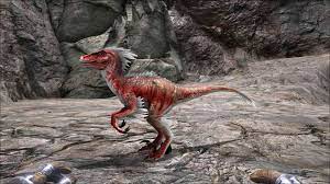 Ark Survival Evolved Raptor Taming Riding Breeding