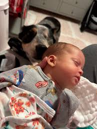 Snuggles are the best from baby goats ❤️
