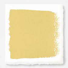 Amber Interior Paint Magnolia