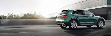 Image result for Azorean Green 2019 Q5