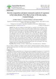 Image result for Ophrestia radicosa