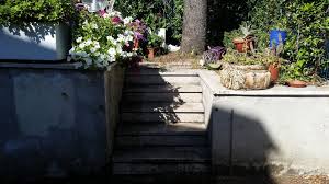 Nella foto gallery troverai tante idee carine per arredare il giardino spendendo poco. Come Progettare Un Piccolo Giardino All Ingresso Di Casa La Repubblica