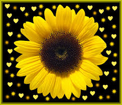 We did not find results for: Flowers Hearts Heart Black Free Image On Pixabay